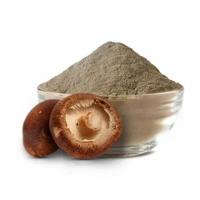 Shiitake Mushroom Extract