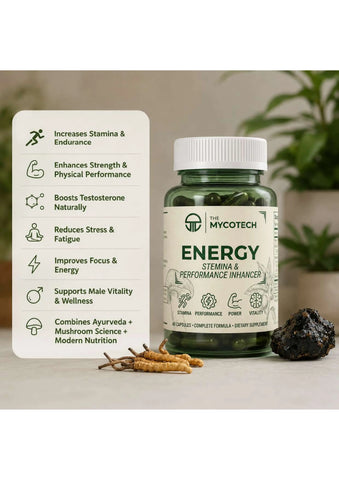 Energy (Level Up Performance)