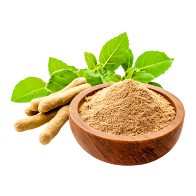 Ashwagandha Extract (5% Withanolides – 73 mg)